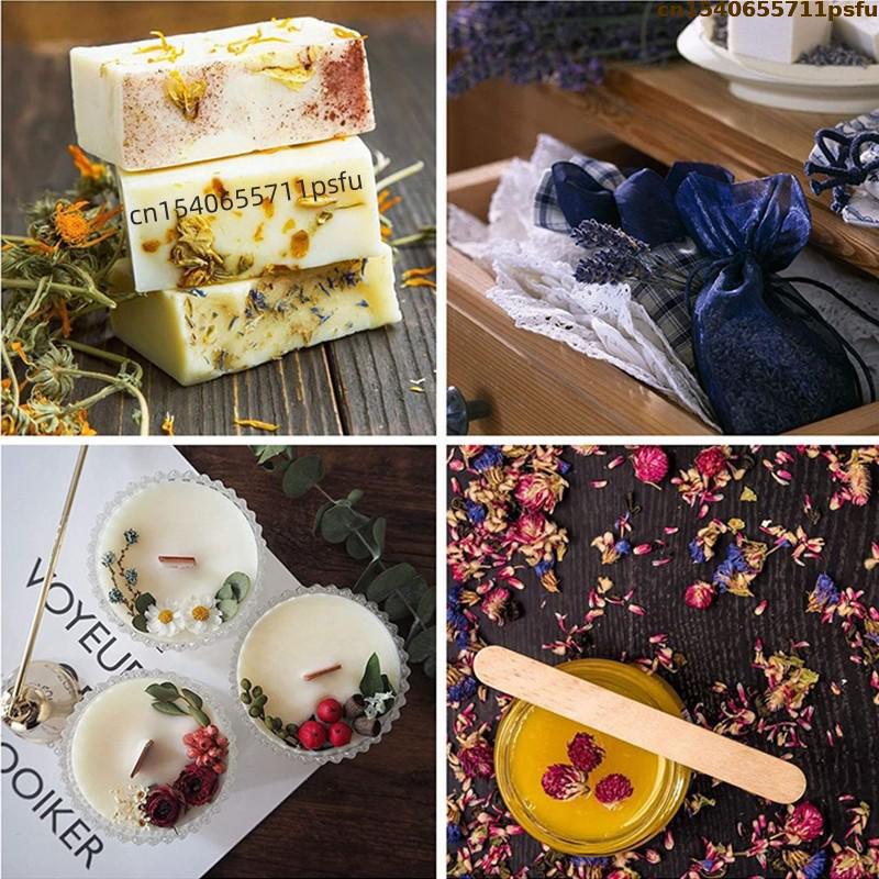 4 أنواع من براعم الورد الطبيعي - مراجعة Candle Making Los Angeles وسعره